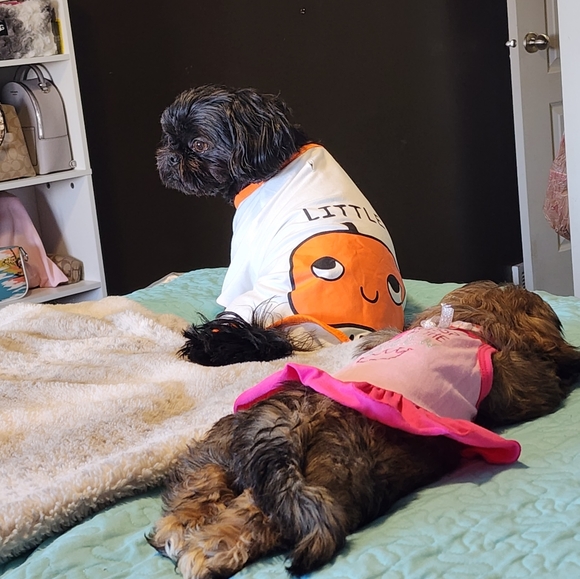 Meet your Posher, Karina - Picture 5 of 9